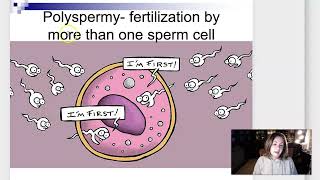 Week 3 Lecture Part 1 Fertilization and Implantation [upl. by Silas]