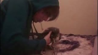 1 Boy 2 Kittens REAL FOOTAGE [upl. by Oninotna]