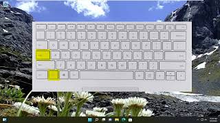 How to Enable or Disable Function Keys in Windows 1011 [upl. by Standush]