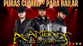 Los Alameños de La Sierra  Las Mas Chingonas Pa Bailar  Corridos y Cumbias Sierreñas [upl. by Yznel870]