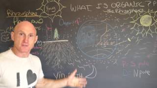 What is Organics Part 3 The Rhizosphere Root Space [upl. by Alocin]