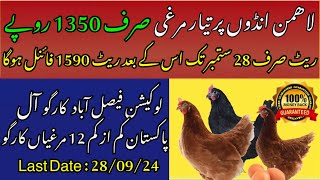 Lohmann Brown business in Pakistan  Poultry Ideas [upl. by Attevad]