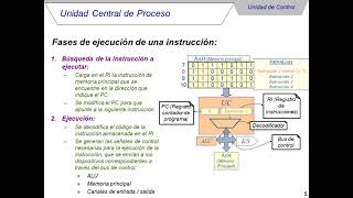 La CPU UC ALU y las fases de ejecución de una instrucción [upl. by Eeralav]