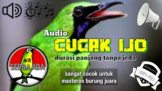 NEW MASTERAN CUCAK IJO PILIHAN JURI SENASIONAL JUARA NO 1 FULL ISIAN JERNIH cucakijo juara [upl. by Layne]