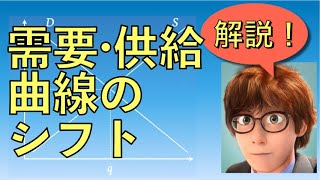 【倫理政経・政治経済 共通テスト対策】市場メカニズム２ 需要・供給曲線のシフト [upl. by Meakem]