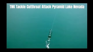 TNK Cutthroat Tackle Attack Pyramid Lake NV [upl. by Rycca119]