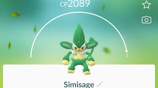 Pansage evolution to Simisage in Pokémon go Shorts [upl. by Vivianna]