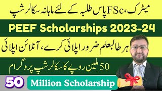 PEEF Scholarships 202324  50 Million PKR Scholarship for College Students  Free Scholarships [upl. by Elmira117]