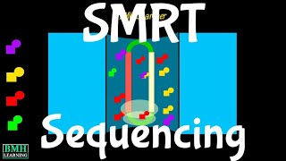 SMRT Sequencing  Single Molecule Real Time Sequencing  PacBio Sequencing [upl. by Ennaeus]