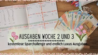 Ausgaben Woche 2 und 3 im Juli🌼 kostenlose Sparchallenge ♥ Meine echten Einnahmen und Ausgaben🌼 [upl. by Mundy]