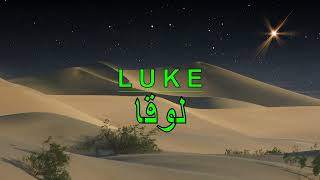 Arabic Audio Bible  Book 42  Luke  لوقا [upl. by Areek852]