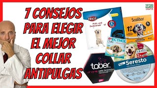 🐶 7 CONSEJOS PARA ELEGIR EL MEJOR COLLAR ANTIPULGAS Y GARRAPATAS PARA PERROS 🐶 [upl. by Aillimat690]