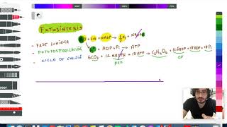 Metabolismo 8 Reacción global de la Fotosíntesis  2º Bachillerato [upl. by Les]