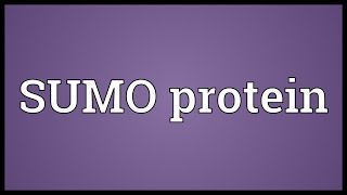 SUMO protein Meaning [upl. by Milburr]