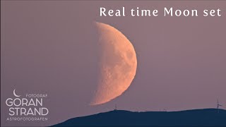 Slow TV  Real time Moonset with green flash [upl. by Georgette848]