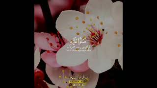 quraan urdu profit Mohammad sallahu alehi wasallam [upl. by Needan405]