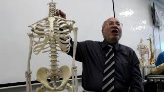 Practical osteology 1  clavicle  part 1  by Dr Wahdan [upl. by Eeryk304]