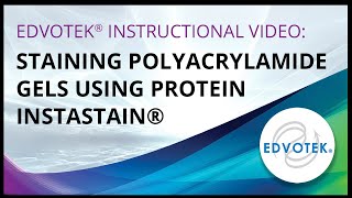 Staining Polyacrylamide Gels using Protein Instastain [upl. by Dyl]