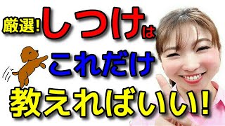 【犬 しつけ】しつけはこれだけ教えればいい① 教える順番も解説します 新遠藤エマチャンネル【犬のしつけ＠横浜】 [upl. by Giralda]