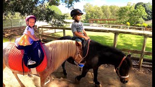 Pony Rides l Kids Ride Ponies ponyrideforkids [upl. by Menendez]