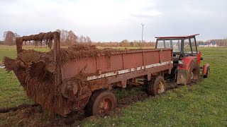 🔥ROZPOCZĘCIE SEZONU Z WTOPĄ🔥oporowy obornik🔥ursus c360 amp c4011 amp 1014🔥 [upl. by Eltsirhc]