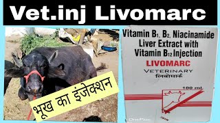 Vetinj LivomarcB Complex injectionपशुओं में बी कॉम्प्लेक्स इंजेक्शन का उपयोग कैसे [upl. by Yance]