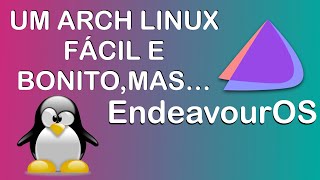 Review Endeavour OS  Um Arch Linux Bonito e fácil só falta 1 coisa [upl. by Yrogreg]