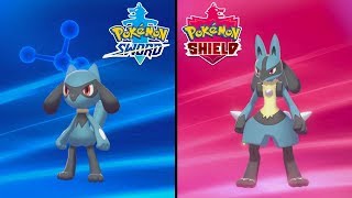 How to Catch Riolu amp Evolve it into Lucario  Pokemon Sword amp Shield [upl. by Leigha814]