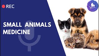 Small animal medicine  Diagnostic tests for neurological disease “Lecture 7” [upl. by Egdirdle]