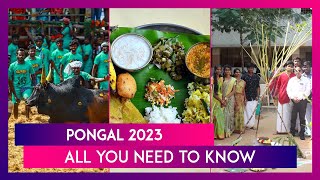 Pongal 2023 Full Calendar Dates Significance amp Celebrations Of The Festival Observed In Tamil Nadu [upl. by Diella]