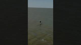 Markermeer  lake downwinding in the Netherlands downwind foil voyager [upl. by Ythomit]