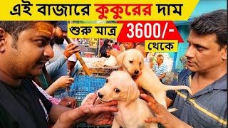 Galiff Street Pet Market Kolkata  dog market in kolkata  Dog Price  Gallif street kolkata  Dogs [upl. by Sherri]