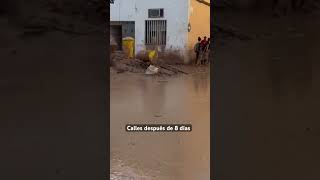 💔8 días después de la Dana Los voluntarios empujan el barro Valencia inundada [upl. by Gesner872]