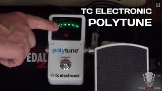 TC Electronic Polytune  Gear Review Demo [upl. by Emixam216]