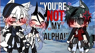 🐺You’re NOT MY alpha💔GLMM original storyline Gachalife minimovie GACHA [upl. by Alarick]