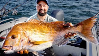 Fishing for Monster snapper [upl. by Hershel]