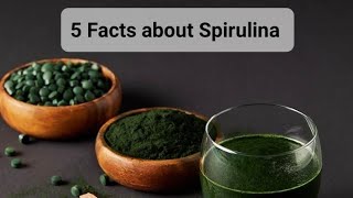 5 facts about Spirulina healthyliving health spirulina shortsfeed shorts [upl. by Davey]