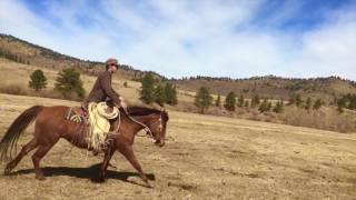 Cherokee Park Ranch  Spring Time in the Rockies [upl. by Odlopoel]