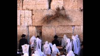 How to Daven Maariv Prayer Nusach Ashkenaz with pauses [upl. by Wilfrid]