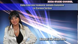 COLAJ CELE MAI FRUMOASE MELODII BANATENE CU CARMEN SERBAN ZOOM STUDIO [upl. by Notserp223]