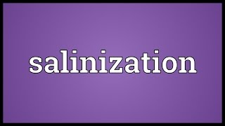 Salinization Meaning [upl. by Hsihsa530]