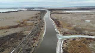 Netley Creek Heading East to River  April 9 2024 [upl. by Ginsburg]