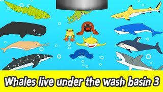 EN Whales live under the wash basin 3ㅣkids animals animation whales adventureㅣCoCosToy [upl. by Ahtan]