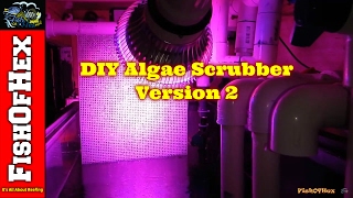 Adding DIY Algae Scrubber To 125 Gallon Reef  Version 2 [upl. by Linn]