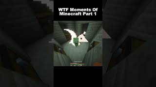 Minecraft WTF Moments Part 1 minecraft minecraftjokeshindi funny wtfmoment funnymoments lol [upl. by Alliber]