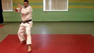 Bassai Kata  Wado Ryu Karate [upl. by Sito543]