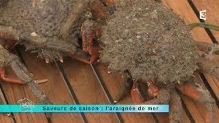 MALC 070514 Saveur de saison  laraignée de mer [upl. by Barbey407]