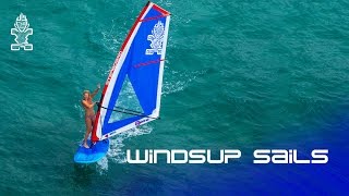 2017 Starboard WindSUP Sails [upl. by Douty]