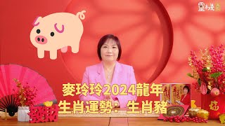 麦玲玲：2024龙年生肖猪的整体运势 [upl. by Lithea917]