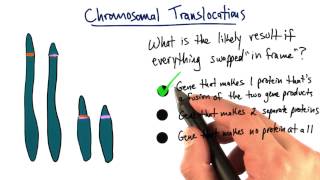 Chromosomal Translocation  Tales from the Genome [upl. by Aggappora]